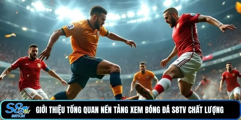 S8TV 10 Giới thiệu tổng quan nền tảng xem bóng đá S8TV chất lượng