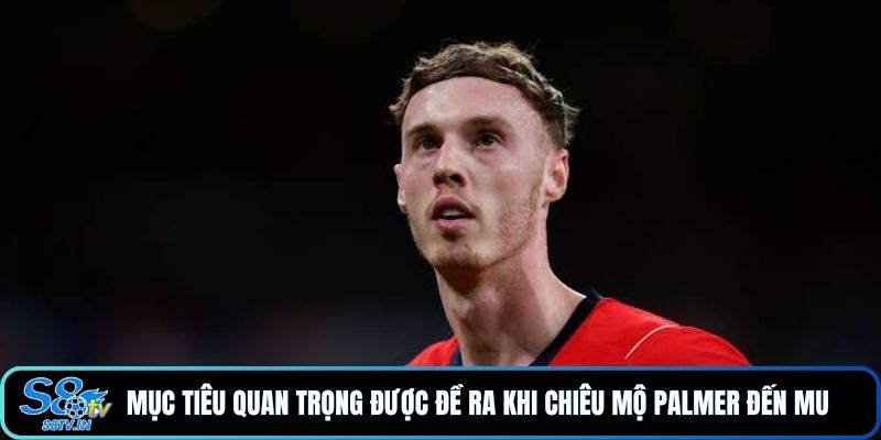 Khám Phá Nhanh Hành Trình Palmer Đến MU Trong Năm 2026 3 Mục tiêu quan trọng được đề ra khi chiêu mộ Palmer đến MU