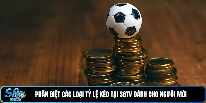Tỷ lệ kèo 2 Phân biệt các loại tỷ lệ kèo tại S8TV dành cho người mới
