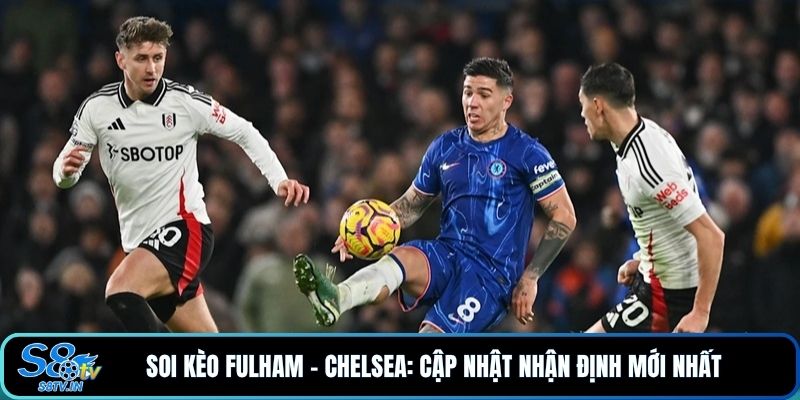 Soi Kèo Fulham - Chelsea: 3 Yếu Tố Có Thể Định Đoạt 90 Phút 2 Soi kèo Fulham - Chelsea: Cập nhật nhận định mới nhất