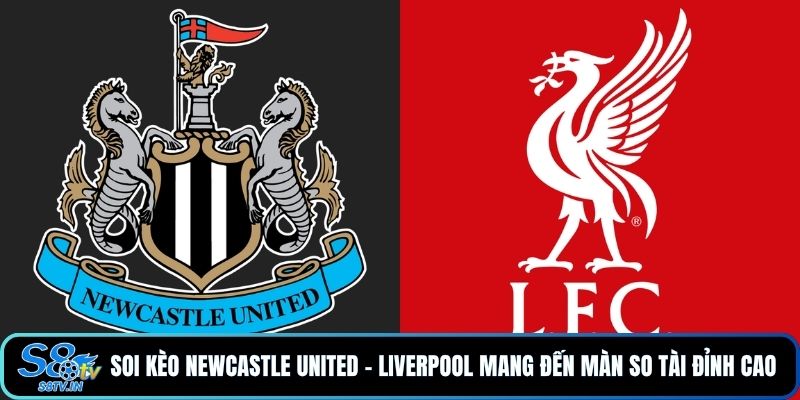 Soi Kèo Newcastle United - Liverpool Với Nhận Định Mới Nhất 2 Soi kèo Newcastle United - Liverpool mang đến màn so tài đỉnh cao
